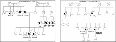 Association between missense variants of uncertain significance in the CHEK2 gene and hereditary breast cancer: a cosegregation and bioinformatics analysis
